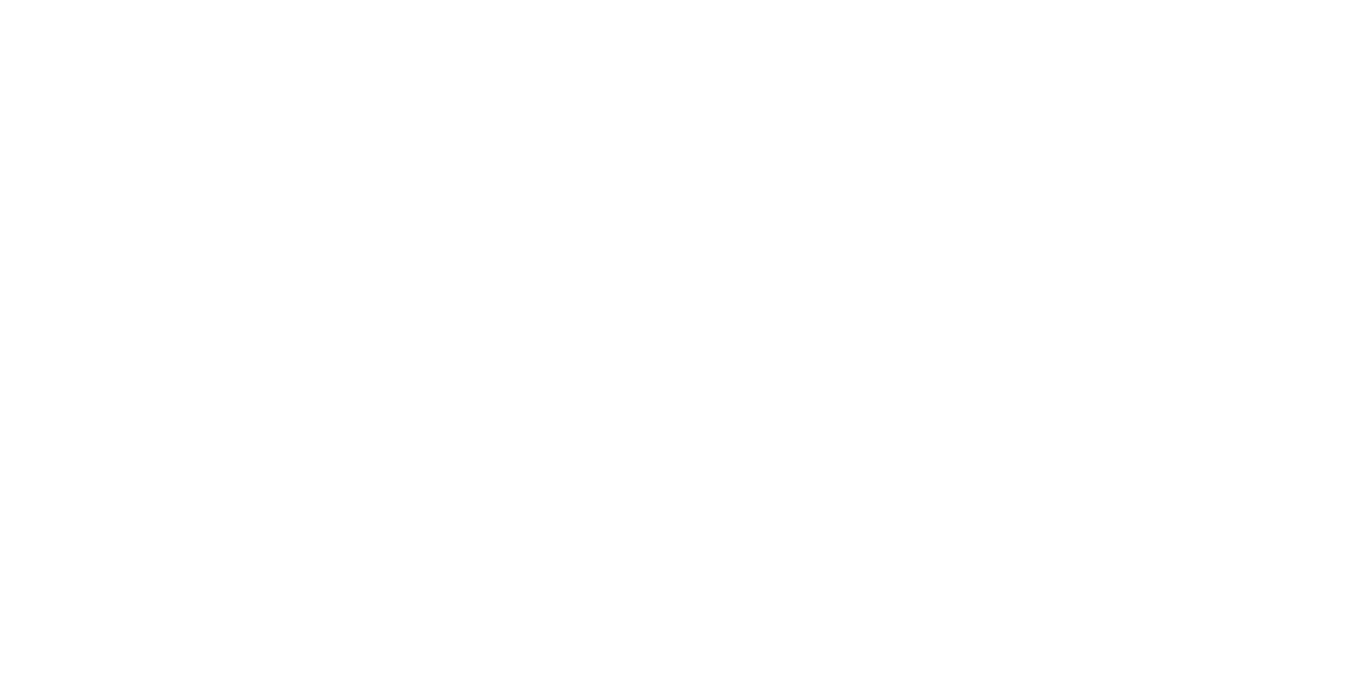 LYVV Website Logo